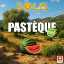 Solis "Pastèque"